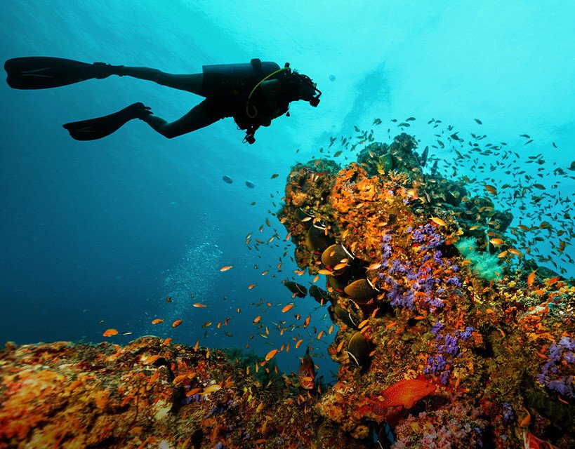 Diving in Nusa Penida